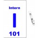 Intern